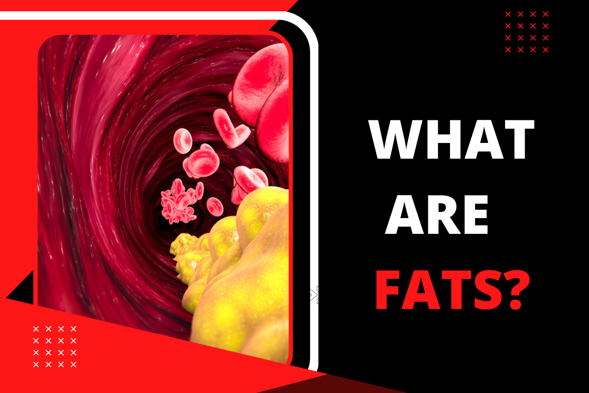 What are fats and types of fats