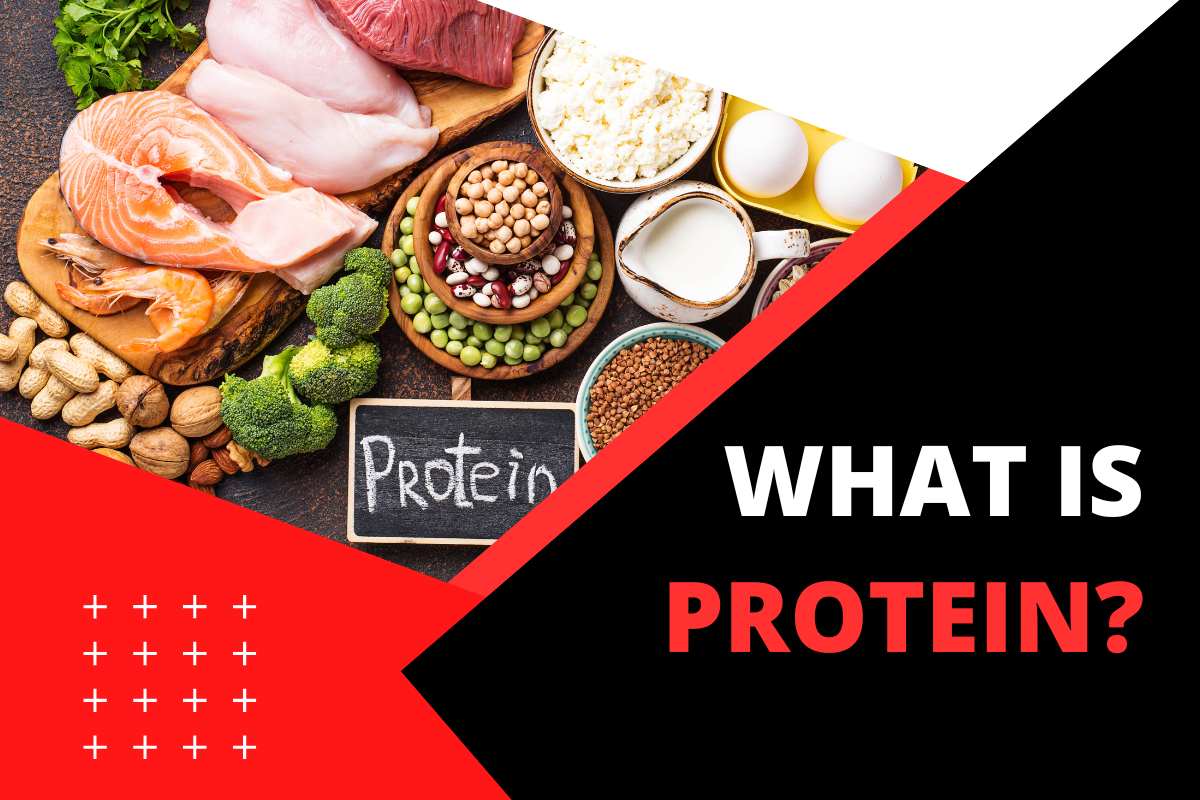 What is protein and benefits of protein